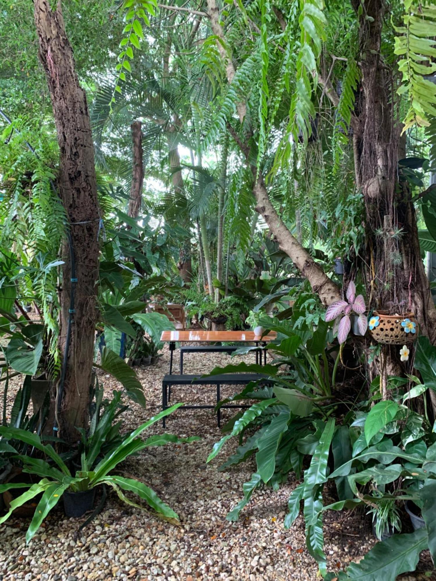 Baan Suan Duang Porn Resort Ban Phae  Exterior foto