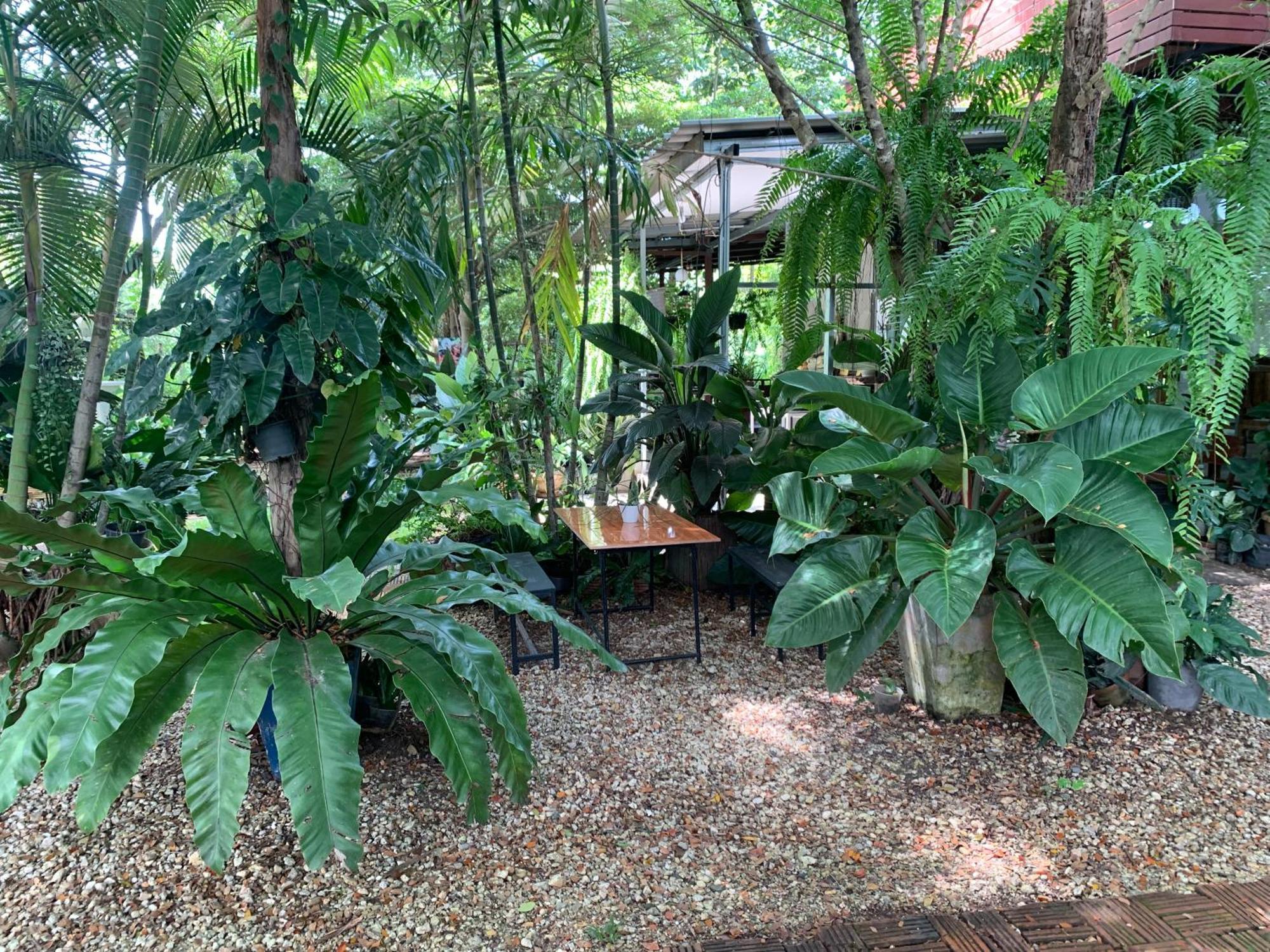 Baan Suan Duang Porn Resort Ban Phae  Exterior foto